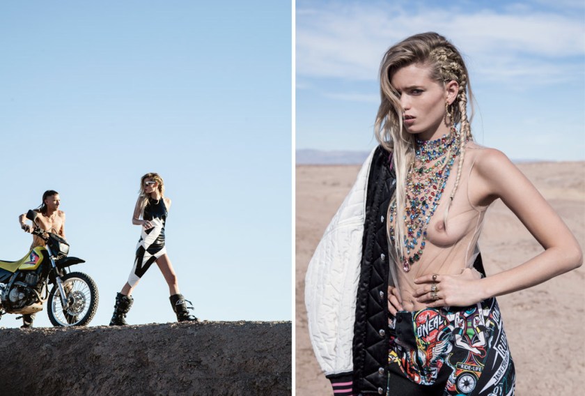 pheonix_rising_11_extra_large_1032x698