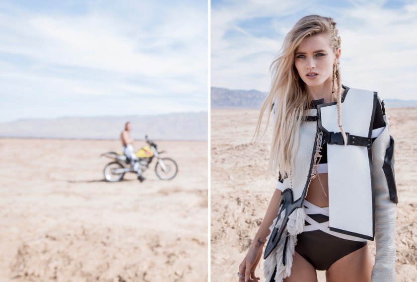 pheonix_rising_1_extra_large_1032x698