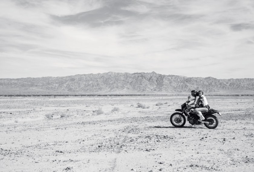 pheonix_rising_5_extra_large_1032x698