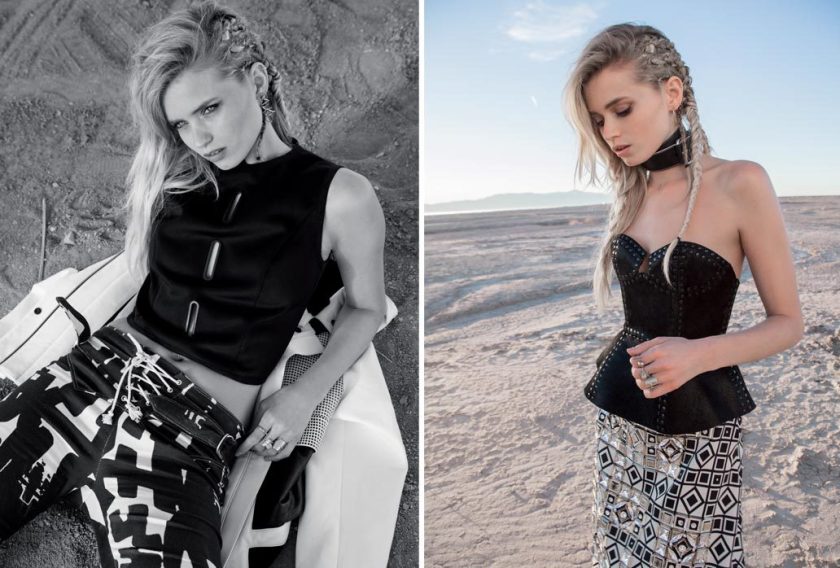 pheonix_rising_8_extra_large_1032x698