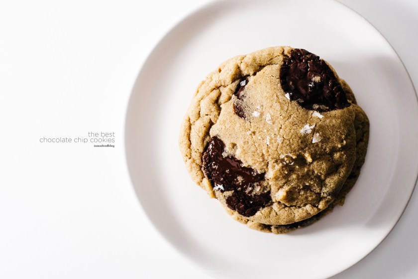the-best-ever-chocolate-chipe-recipe-4w1