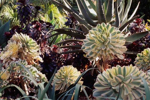 Inspiration_2_Background