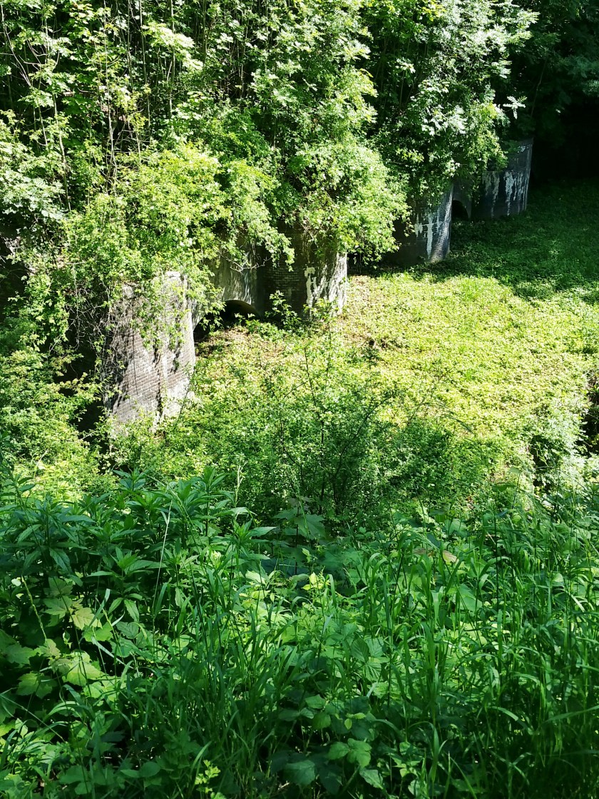 IMG_20150606_114032_1